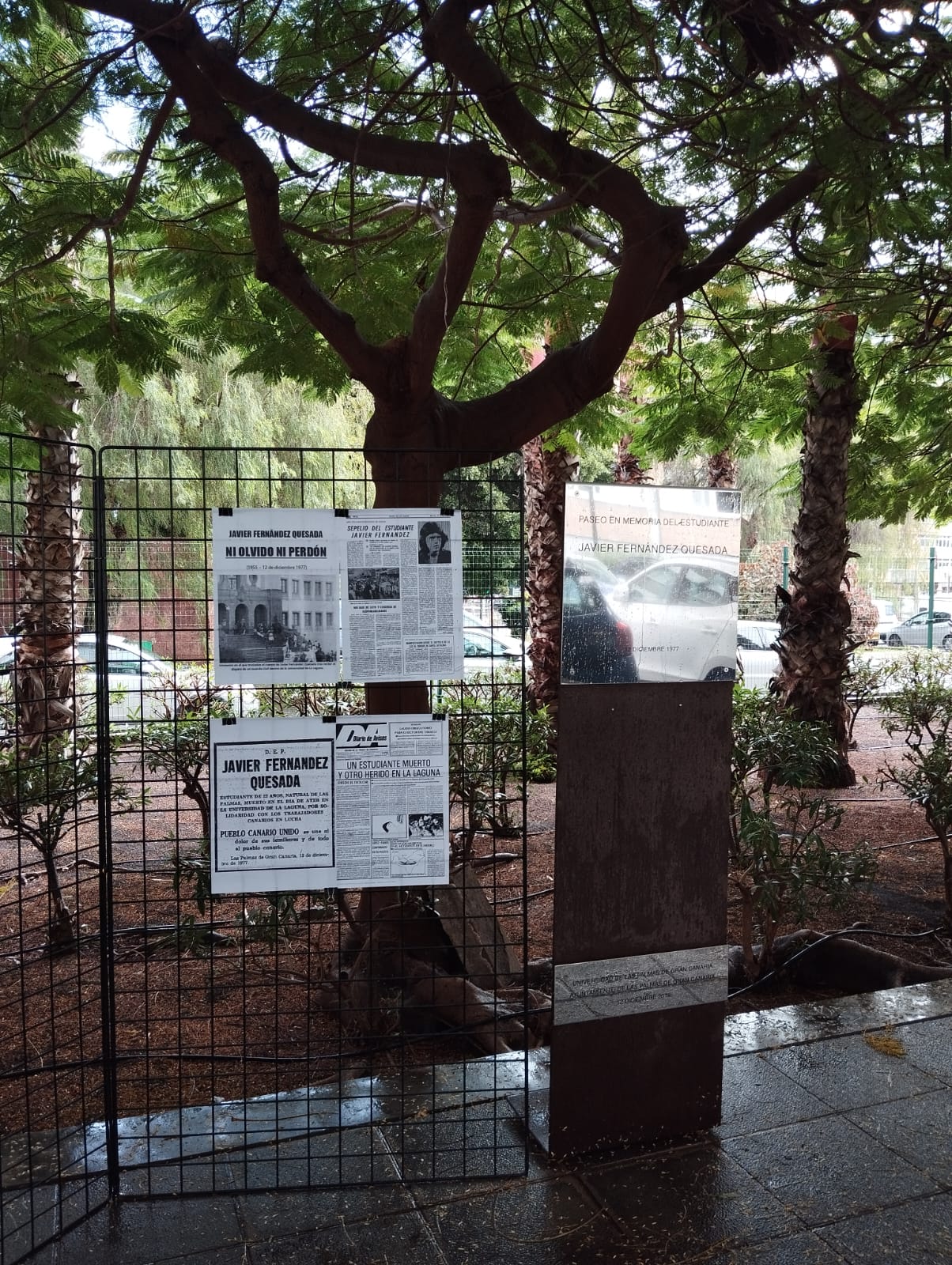 p05 1